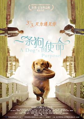 99re热这里只有精品18