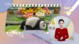 久久国产成人精品